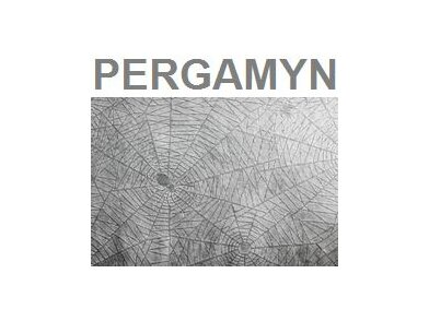 Pergamyn